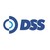DSS Serviços de Tecnologia da Informação logo