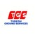 Turkish Ground Services Inc logo
