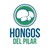 Hongos del Pilar logo