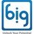 Bits In Glass (India & UK) logo