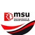 Management and Science University logo