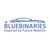 BlueBinaries Engineering and Solutions Pvt Ltd logo