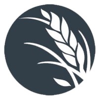 Noyes logo