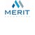 MERIT Securities S.A. logo