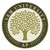 SRM University, AP logo