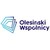 Olesiński i Wspólnicy logo