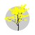 Fundação CAEd logo