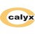 Calyx Chemicals & Pharmaceuticals Ltd. logo