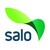 City of Salo - Salon kaupunki logo