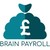Brain Payroll logo