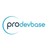 ProDevBase Technologies logo
