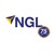 NEW GLOBE LOGISTIK LLP. logo
