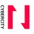 Cyber City logo