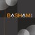 Basham, Ringe y Correa, S.C. logo