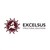 Excelsus Structural Solutions AG logo