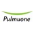 풀무원 (Pulmuone) logo