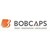 Logo di BOB Capital Markets Ltd