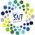 SNT PERFORMANCE logo