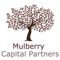Mulberry Capital Partners logo