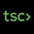 th4ts3cur1ty.company logo