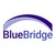 BlueBridge Networks logo
