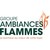Le Groupe Ambiances Flammes - Soluflam - Ambiances Flammes - Cocon - Brisach PdL - Flammes Services logo