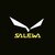 Salewa logo