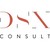 DSXConsult logo