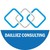 DAILLIEZ CONSULTING logo