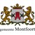 Gemeente Montfoort logo