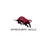 Investment Bulls logo