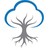 Banyan Medical Solutions Logo