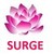 Surge Software Solutions PVT Ltd logo