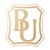 上海必佑投资管理有限公司 logo