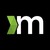 Methys Group logo
