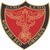 GS Medical College & KEM Hospital, Mumbai logo