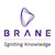 Brane Group logo