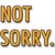 Logo di Not Sorry