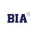 Boston Institute of Analytics logo