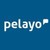 Pelayo Mutua de Seguros logo
