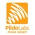 Pildo Labs logo