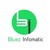 BLUEZ INFOMATIC SOLUTION logo