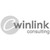 WINLINK CONSULTING logo