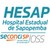 Hospital Estadual de Sapopemba - SECONCI OSS logo