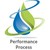 PERFORMANCE PROCESS logo