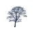 Thompson Davis & Co. logo