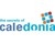 The Secrets of Caledonia logo
