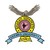 Bharati Vidyapeeth logo