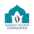 Akhmet Yassawi University logo