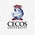 CECOS University of Information Technology and Emerging Sciences logo